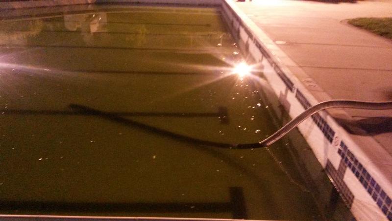 Draining the pool 09/17/14